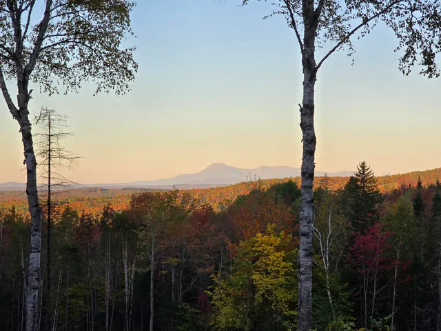 $80,000 | Lot C Lot C & G Dow Farm Rd Island Falls, Island Falls, ME 04747