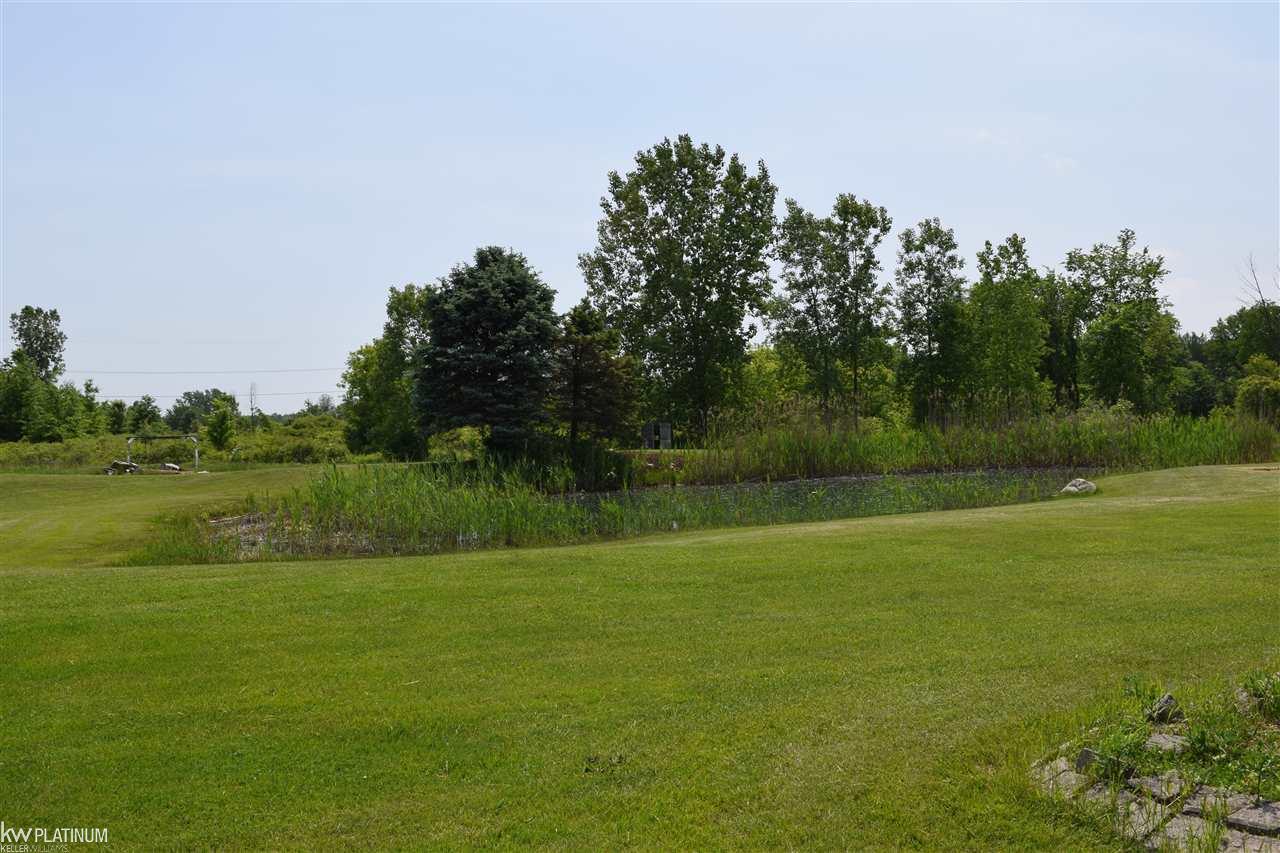 8833 Meisner Road Casco, MI 48064 - Photo 19 of 29 31350004-18.JPG