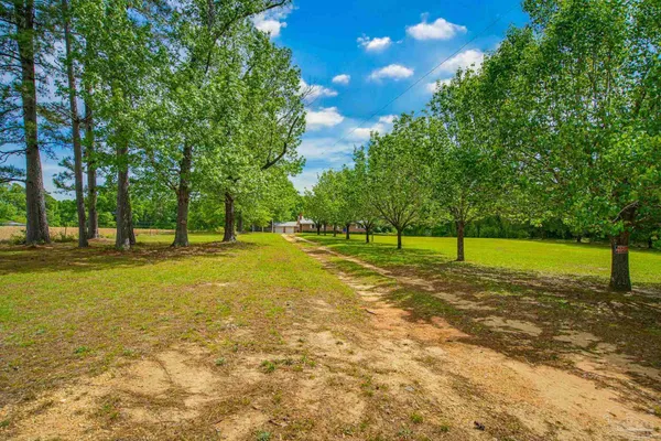 a view of a basketball court