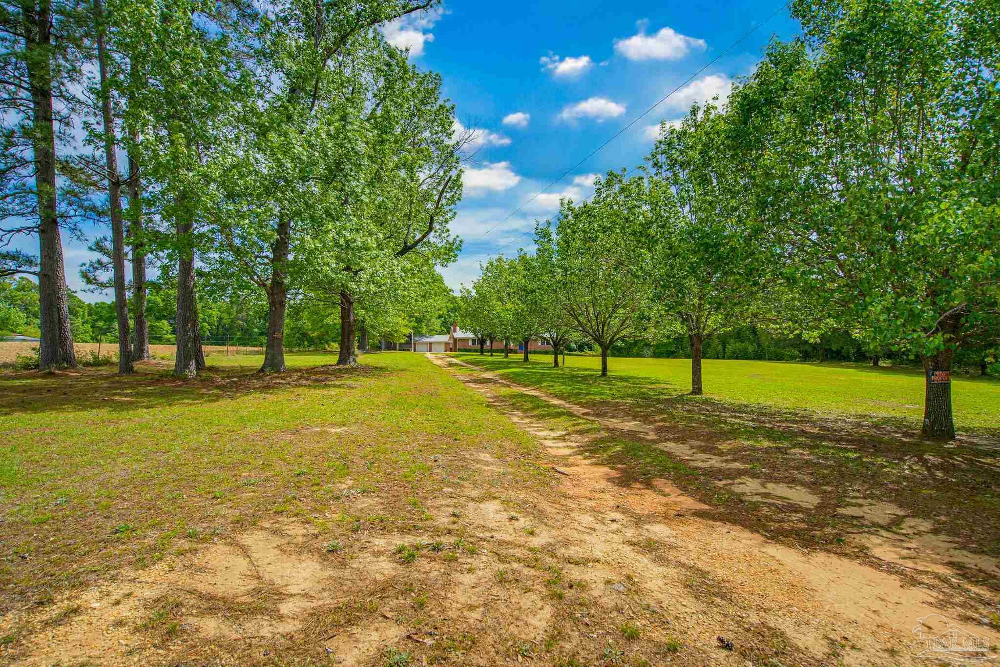 6536 Daniel Griffis Road Jay, FL 32565 - Photo 2 of 38