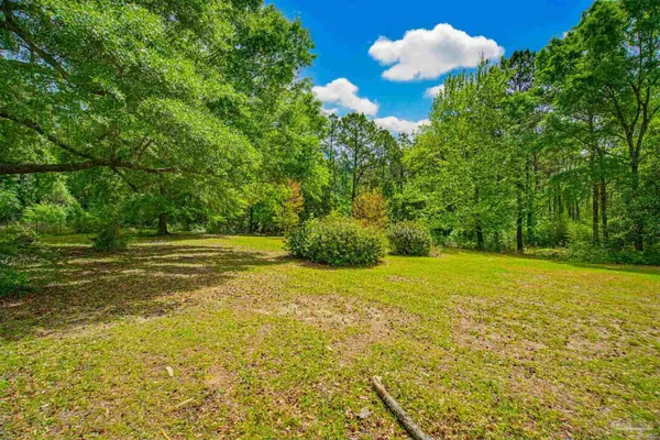 a view of a big yard with large trees