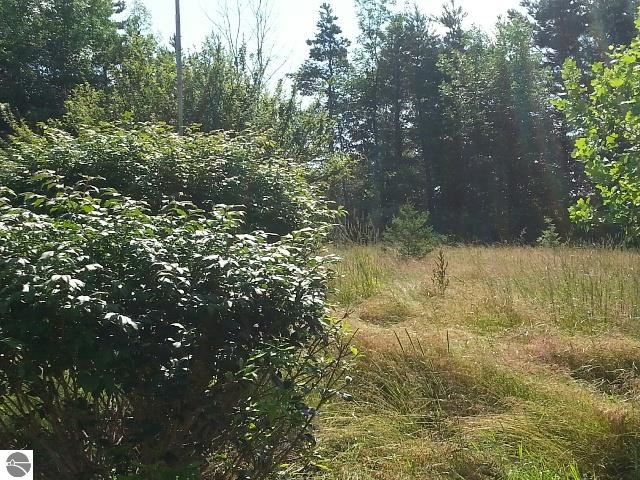 3514 West Shearer Road Coleman, MI 48618 - Photo 7 of 39 1788511-6.JPG