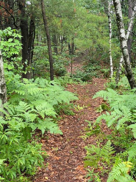 69 Old Mill Road Sanford, ME 04073 - Photo 36 of 42 IMG_4481