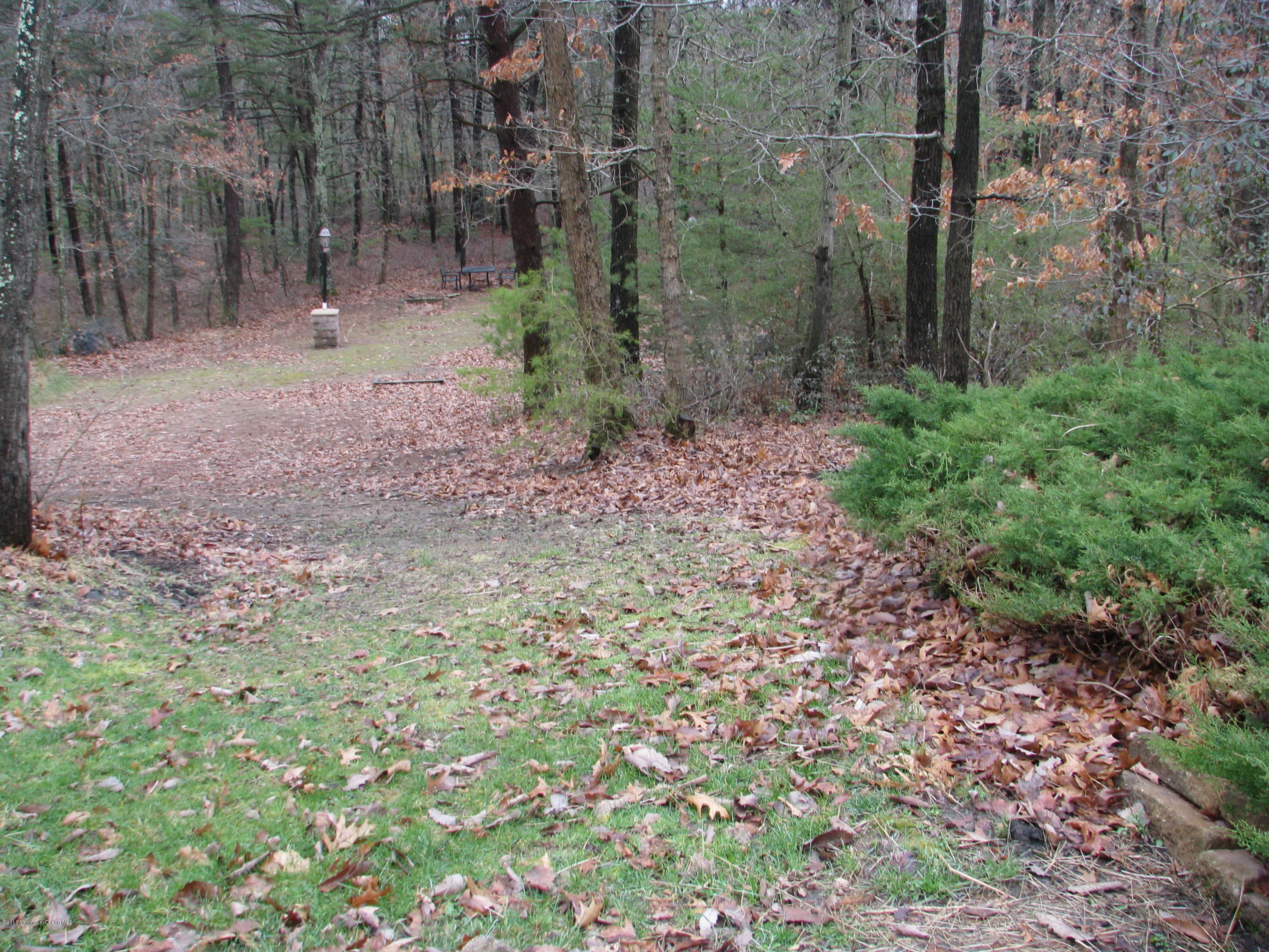 17 Savannah Road Jackson, NJ 08527 - Photo 33 of 37 IMG_5661
