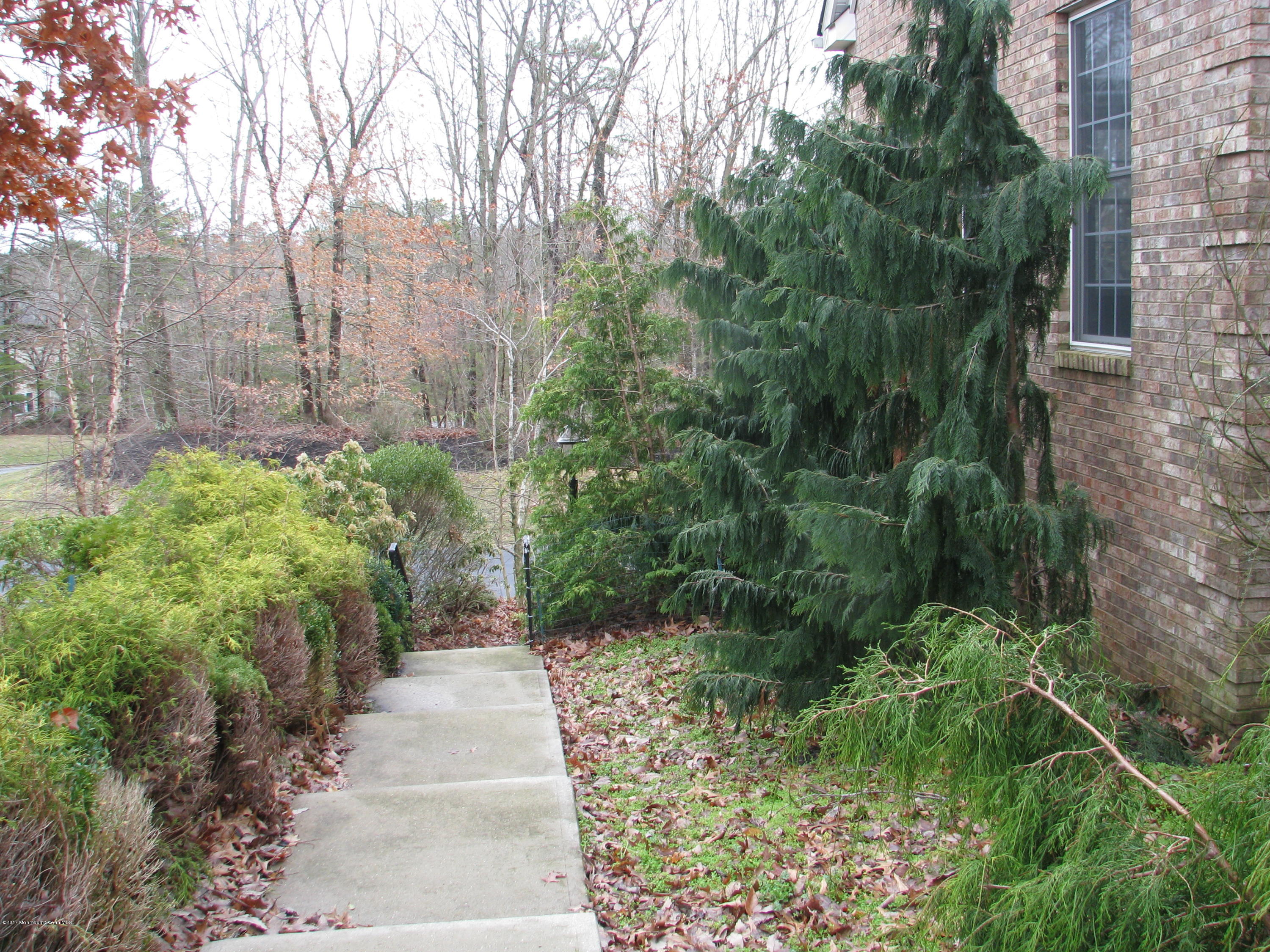 17 Savannah Road Jackson, NJ 08527 - Photo 36 of 37 IMG_5658