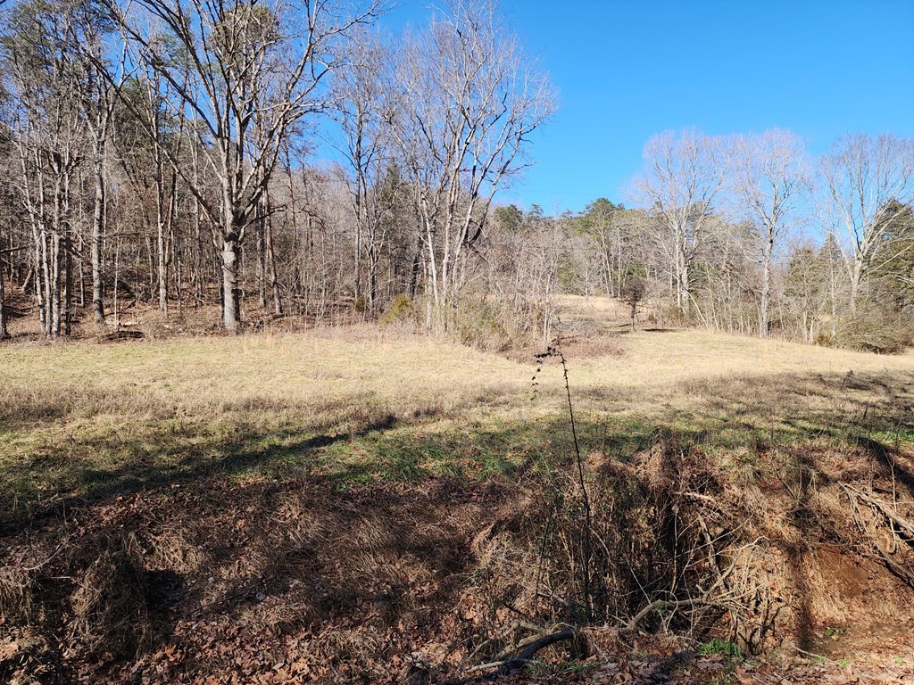 2 Sellers Road Jefferson City, TN 37760 - Photo 2 of 2