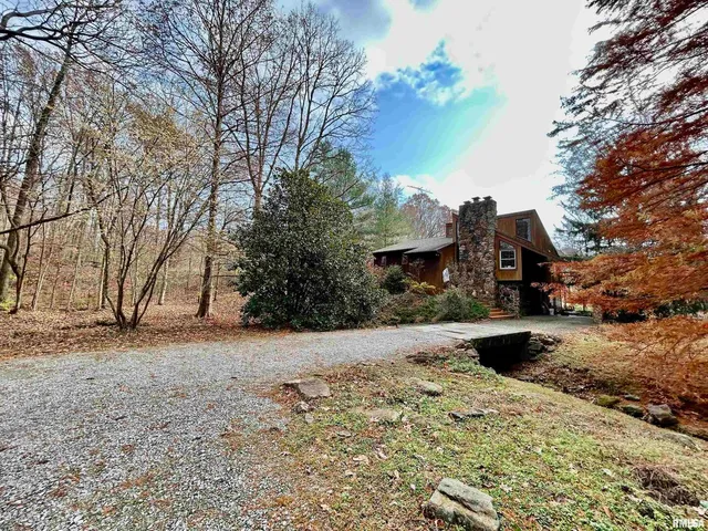 a street view with large trees