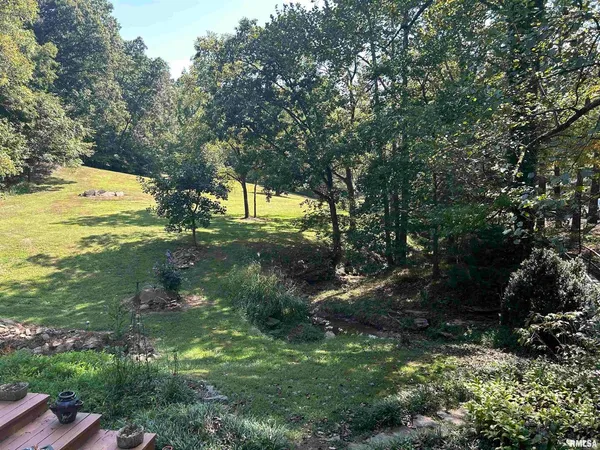 a view of a trees in a yard