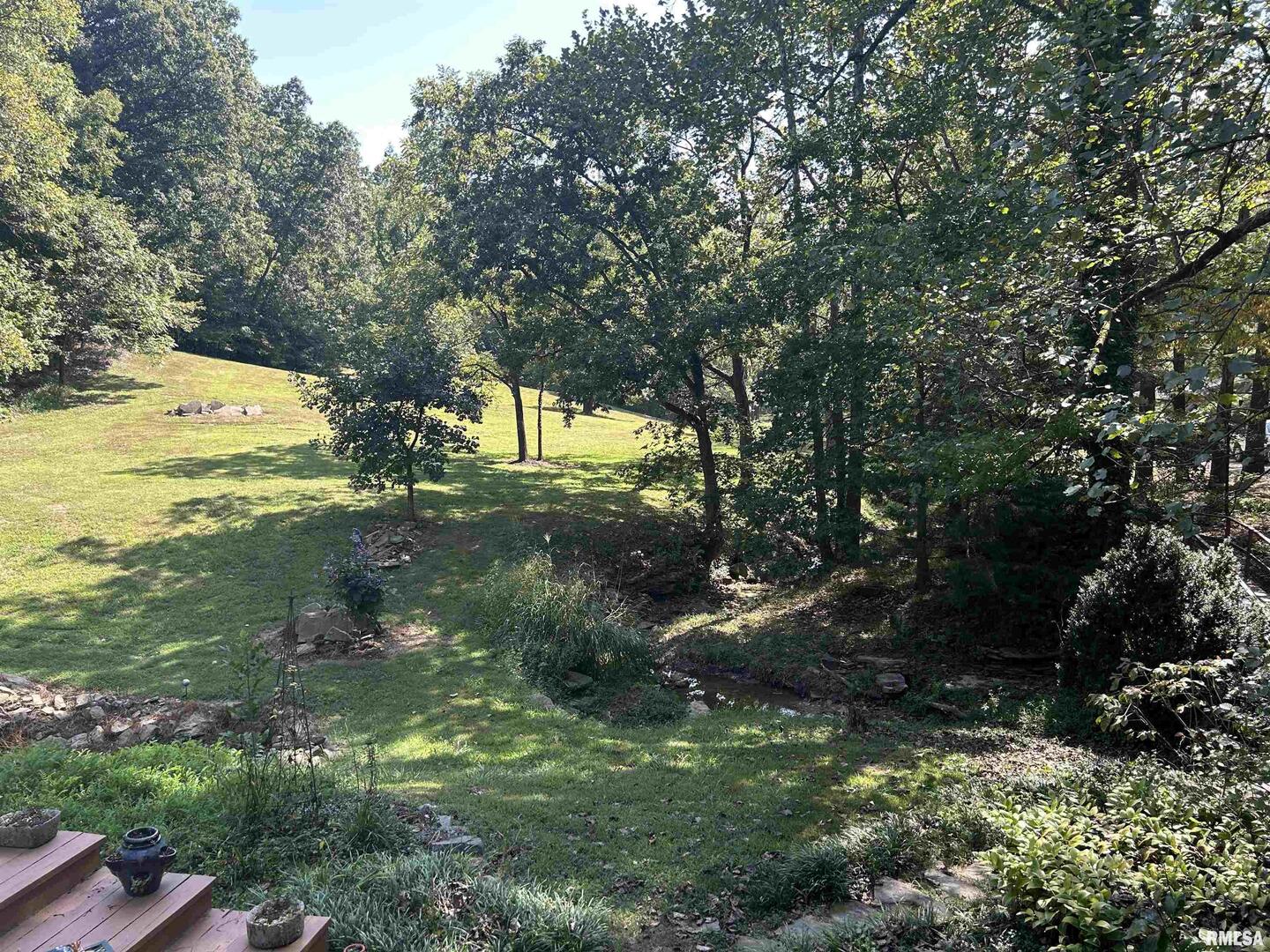 61 Schack Murphysboro, IL 62966 - Photo 31 of 43 a view of a trees in a yard