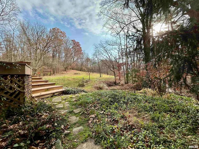 a view of backyard with green space