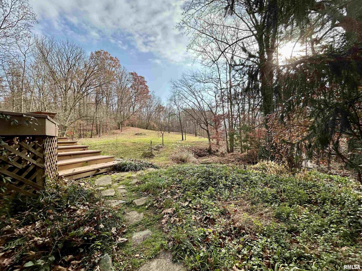 61 Schack Murphysboro, IL 62966 - Photo 35 of 43 a view of backyard with green space