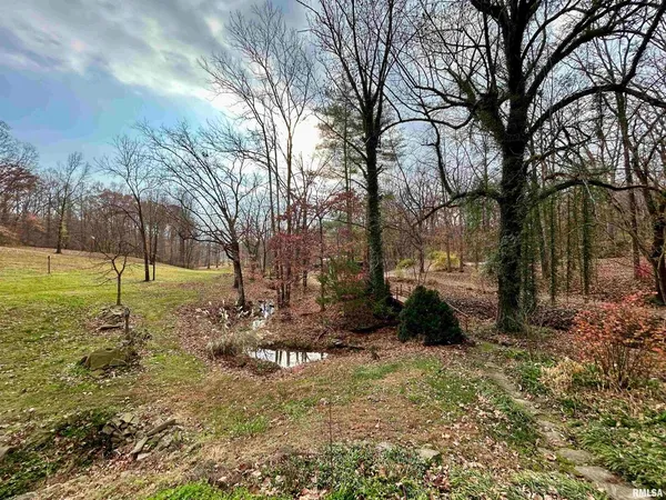 a view of backyard with green space