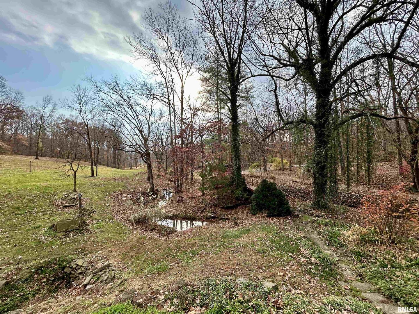 61 Schack Murphysboro, IL 62966 - Photo 36 of 43 a view of backyard with green space