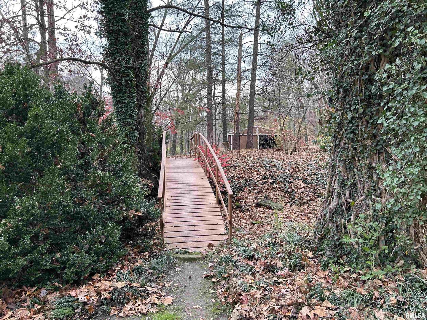 61 Schack Murphysboro, IL 62966 - Photo 38 of 43 a view of a house with large trees and plants