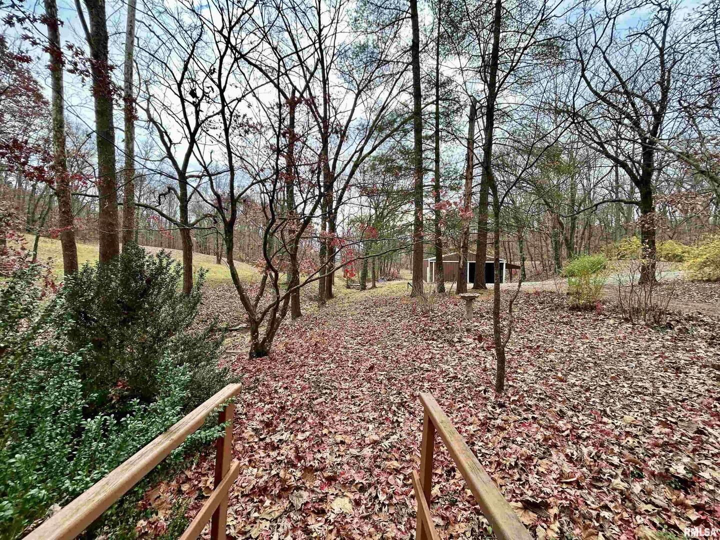 61 Schack Murphysboro, IL 62966 - Photo 40 of 43 a backyard of a house with lots of green space