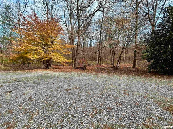 a view of a yard with a tree