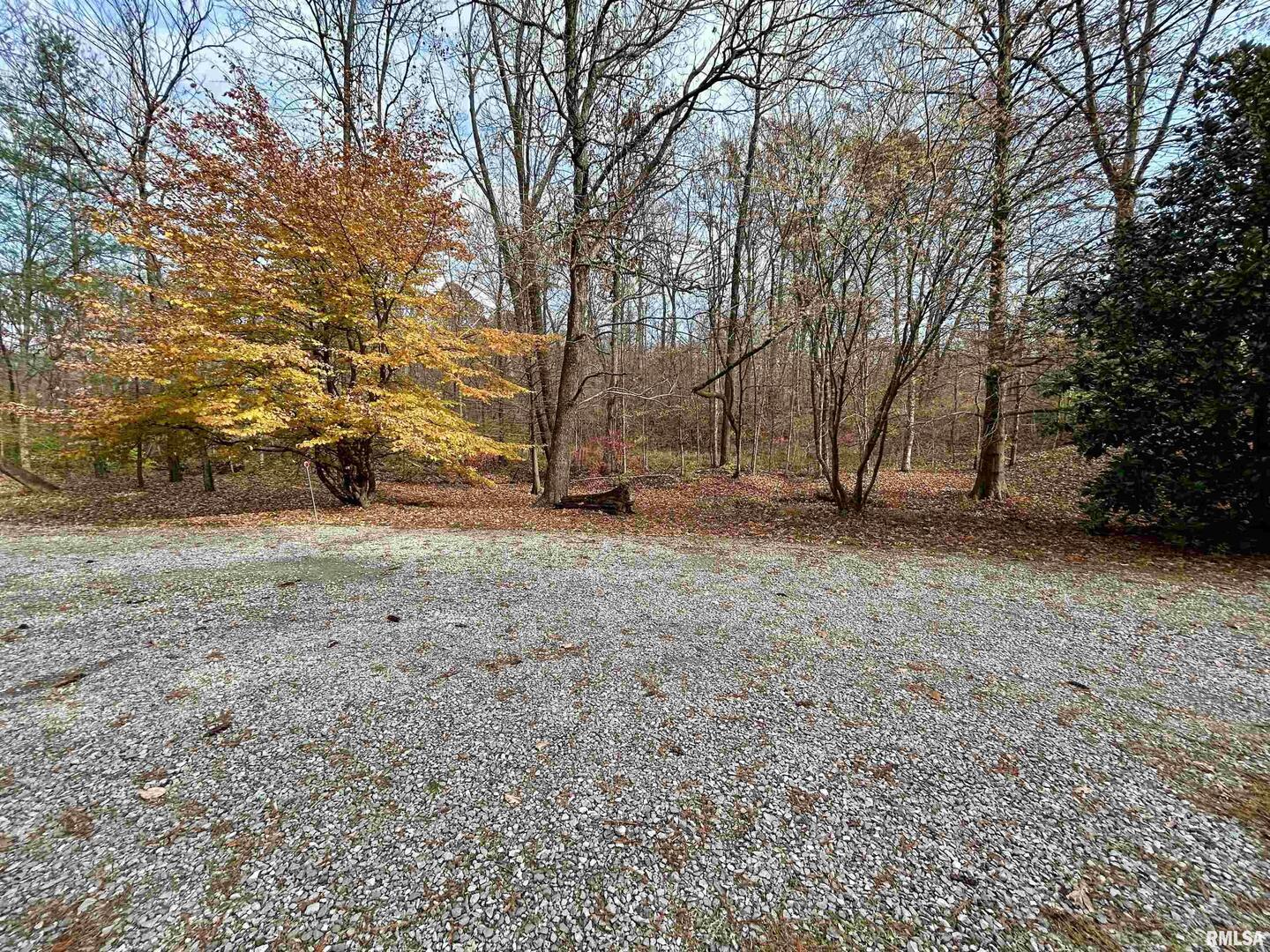 61 Schack Murphysboro, IL 62966 - Photo 4 of 43 a view of a yard with a tree