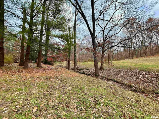 a view of a yard with trees
