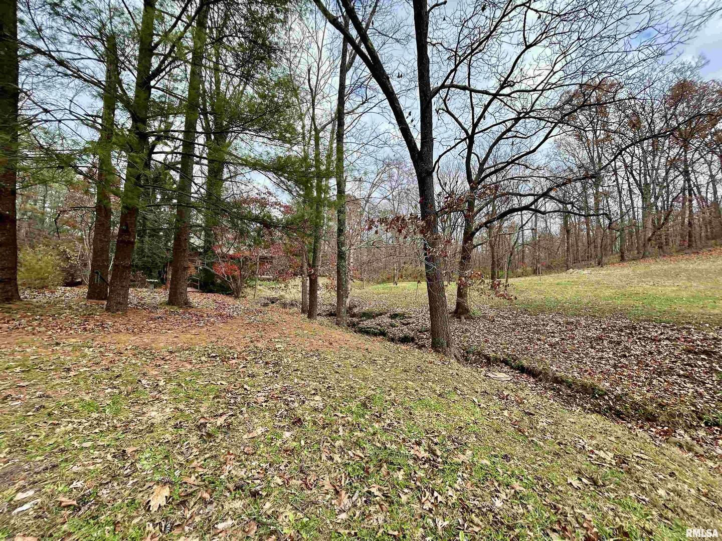 61 Schack Murphysboro, IL 62966 - Photo 41 of 43 a view of a yard with trees