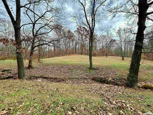a view of outdoor space with trees