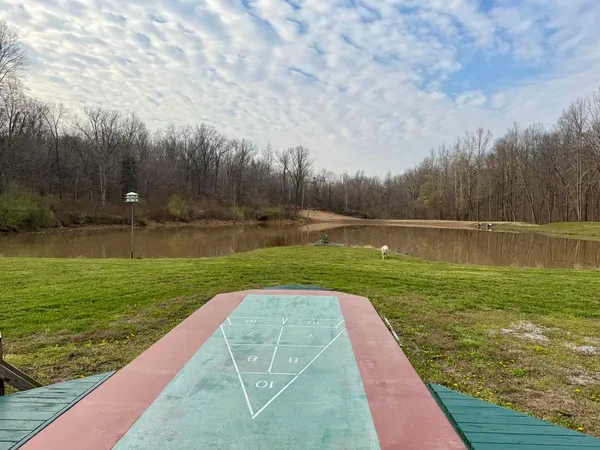 a view of a park with large trees