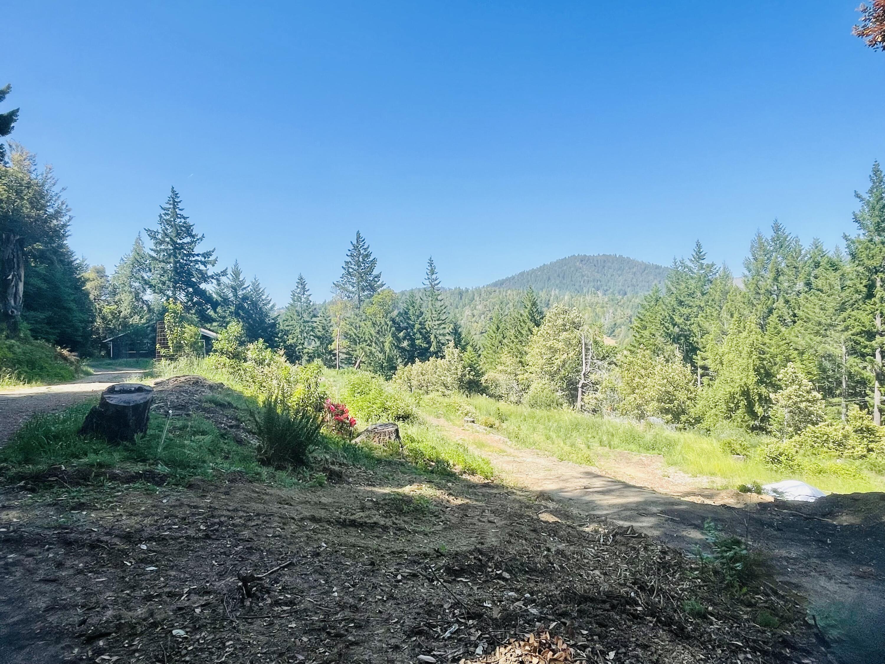 360 Graycliff Road Garberville, CA 95542 - Photo 62 of 63