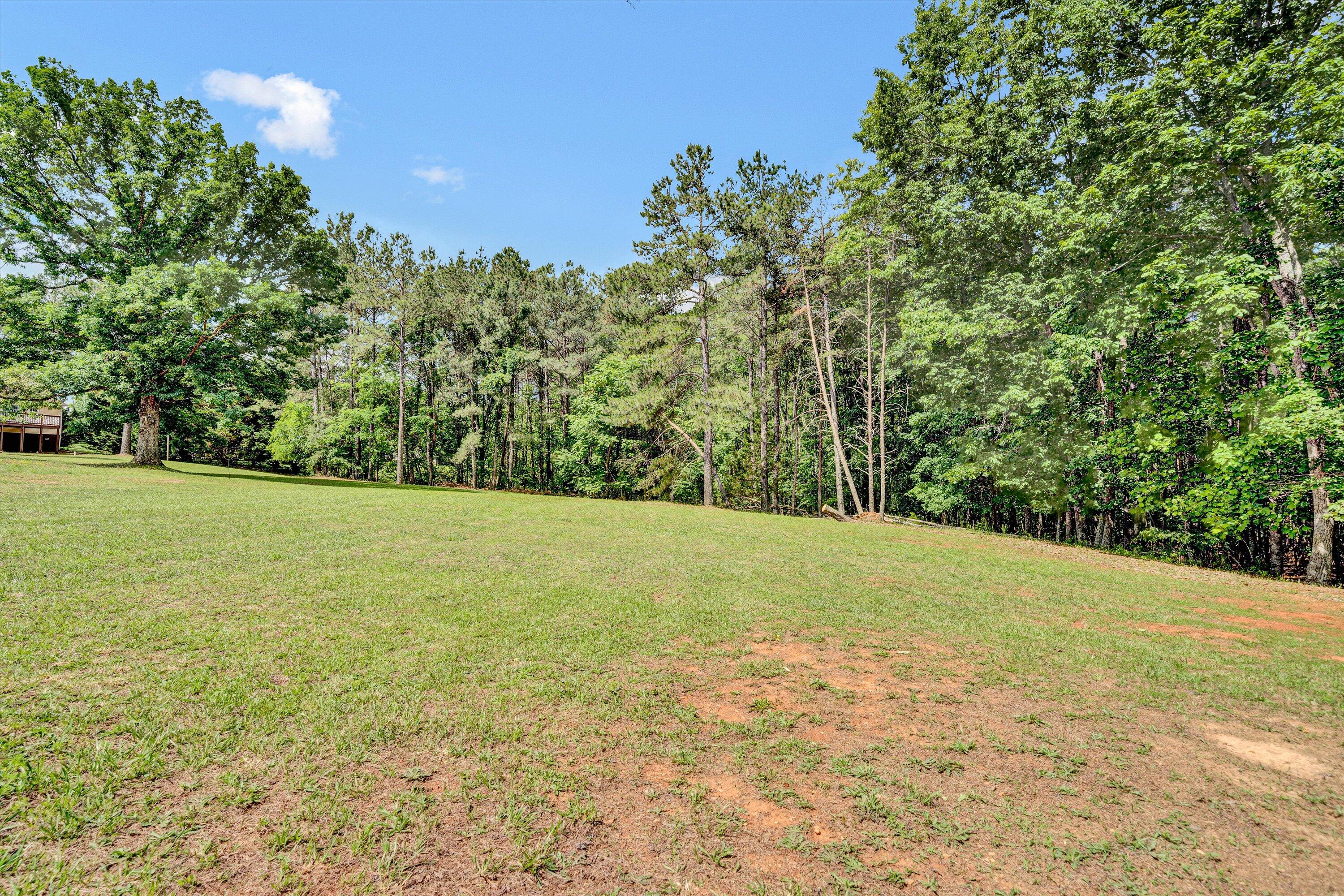 5461 Meadors Spur Road Moneta, VA 24121 - Photo 46 of 56 46-SGM-00206