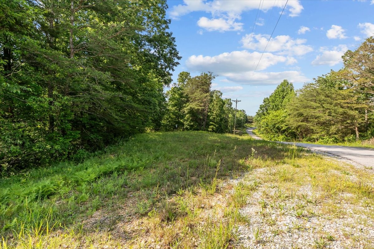 0 Highwater Road Waverly, TN 37185 - Photo 6 of 33 Gallery Image 6