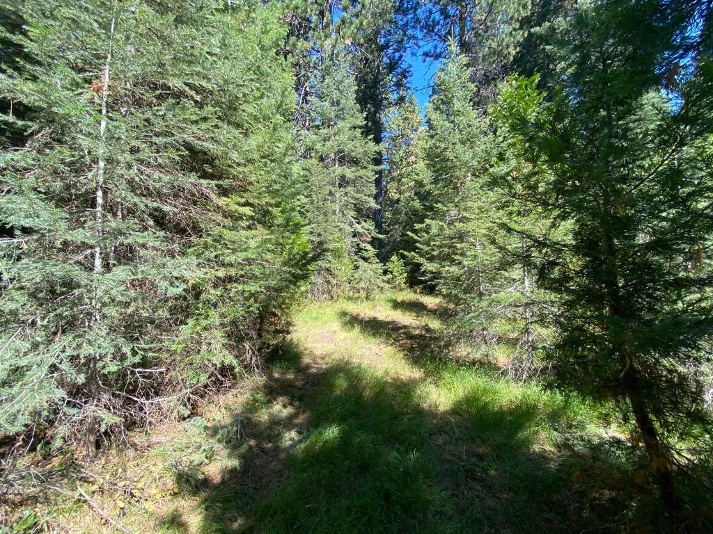 3-e-45 Red Fir Road McCloud, CA 96057 - Photo 19 of 33 Gallery Image 19