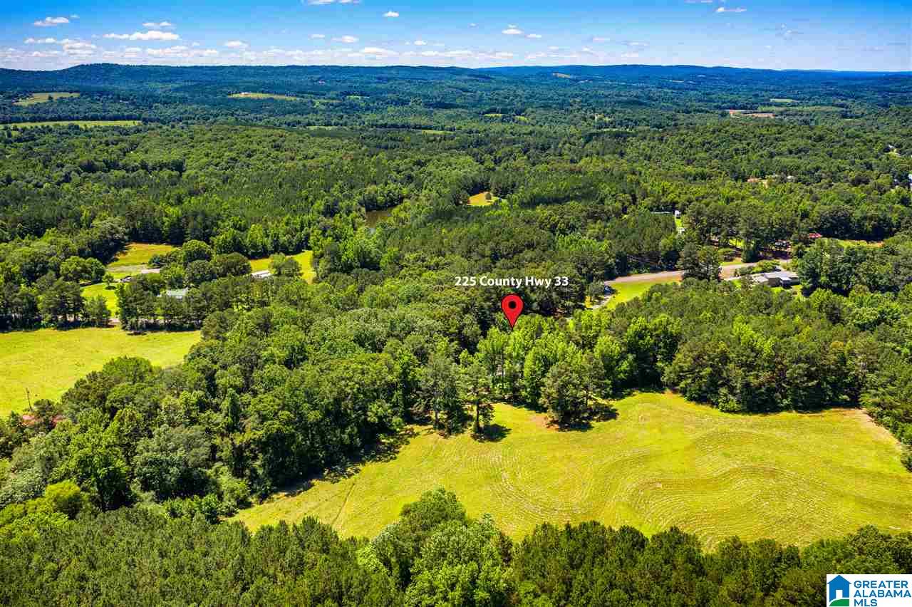 225 County Road 33 Oneonta, AL 35121 - Photo 41 of 41