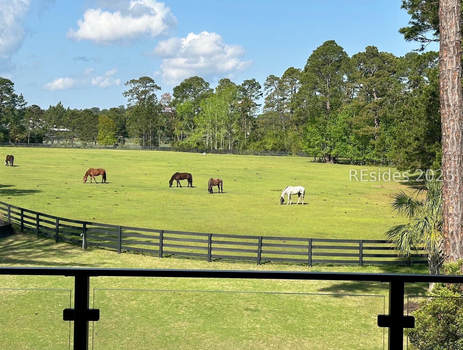 68 Gallavant Road Bluffton, SC 29910 - Photo 89 of 93 68 Gallavant Road - Equestrian Views