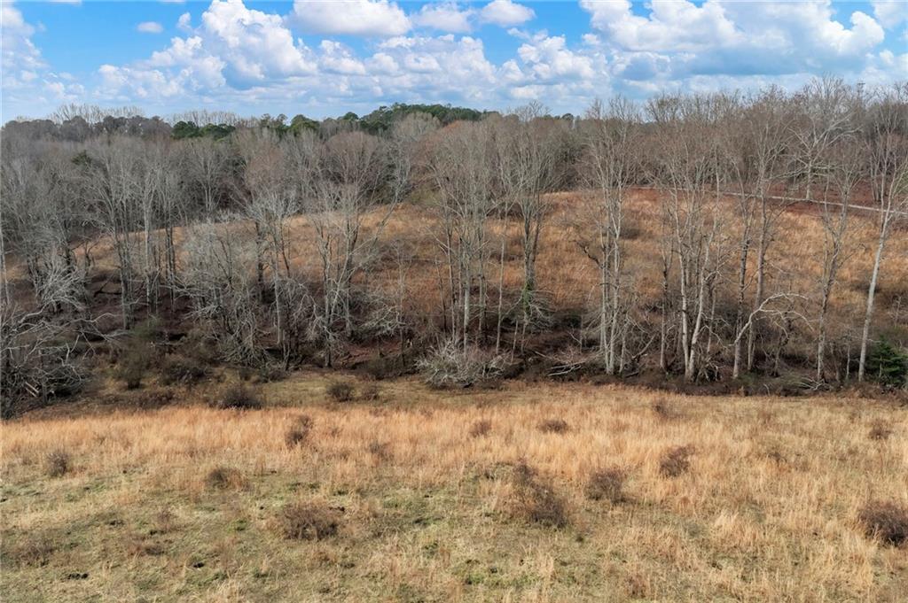 0 Eagles Perch Road Ball Ground, GA 30107 - Photo 11 of 28 a view of a yard