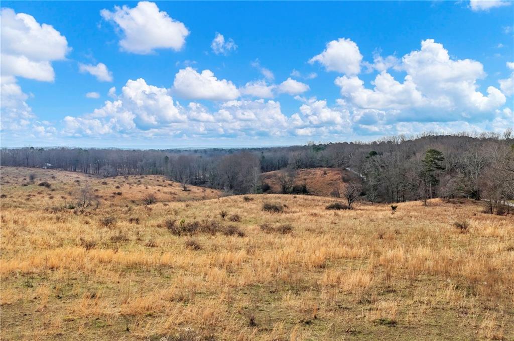 0 Eagles Perch Road Ball Ground, GA 30107 - Photo 14 of 28 a view of a yard