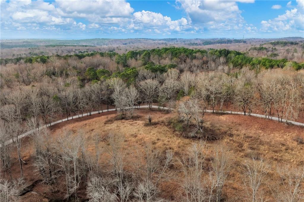 0 Eagles Perch Road Ball Ground, GA 30107 - Photo 16 of 28 a view of a dry yard with trees