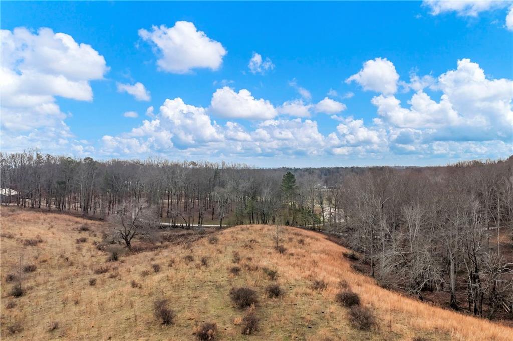 0 Eagles Perch Road Ball Ground, GA 30107 - Photo 17 of 28 a view of a snow in the yard