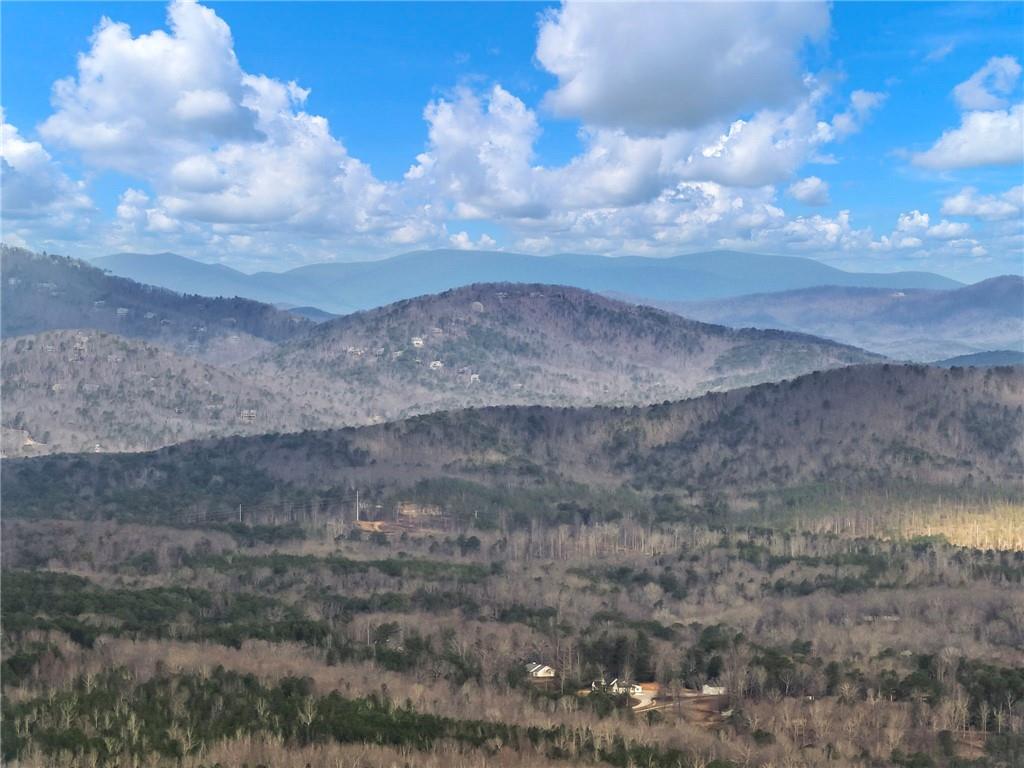 0 Eagles Perch Road Ball Ground, GA 30107 - Photo 25 of 28 a view of a dry yard