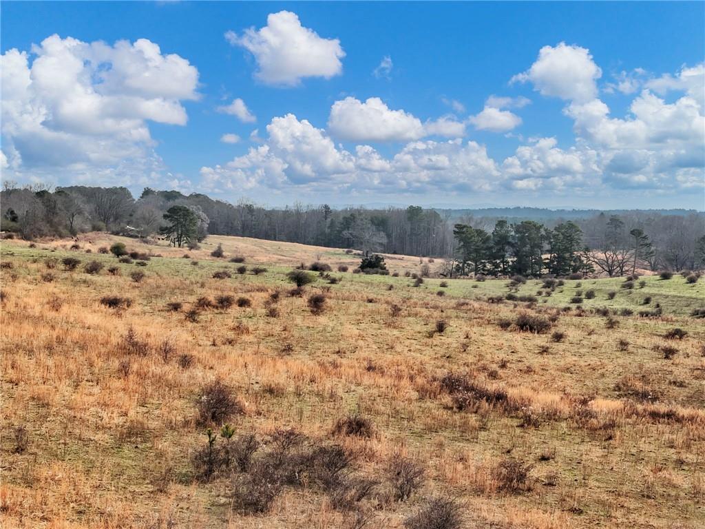 0 Eagles Perch Road Ball Ground, GA 30107 - Photo 4 of 28 a view of a backyard of the house