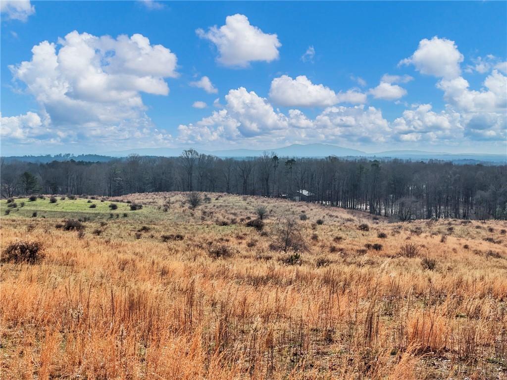 0 Eagles Perch Road Ball Ground, GA 30107 - Photo 5 of 28 a view of a backyard