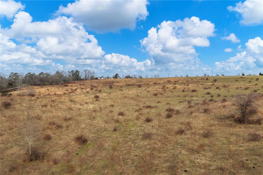 0 Eagles Perch Road Ball Ground, GA 30107 - Photo 6 of 28 a view of a yard