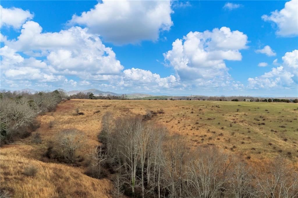 0 Eagles Perch Road Ball Ground, GA 30107 - Photo 9 of 28 a view of a lake