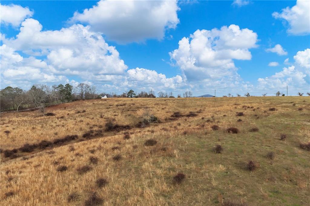 0 Eagles Perch Road Ball Ground, GA 30107 - Photo 10 of 28 a view of a dry yard with wooden fence