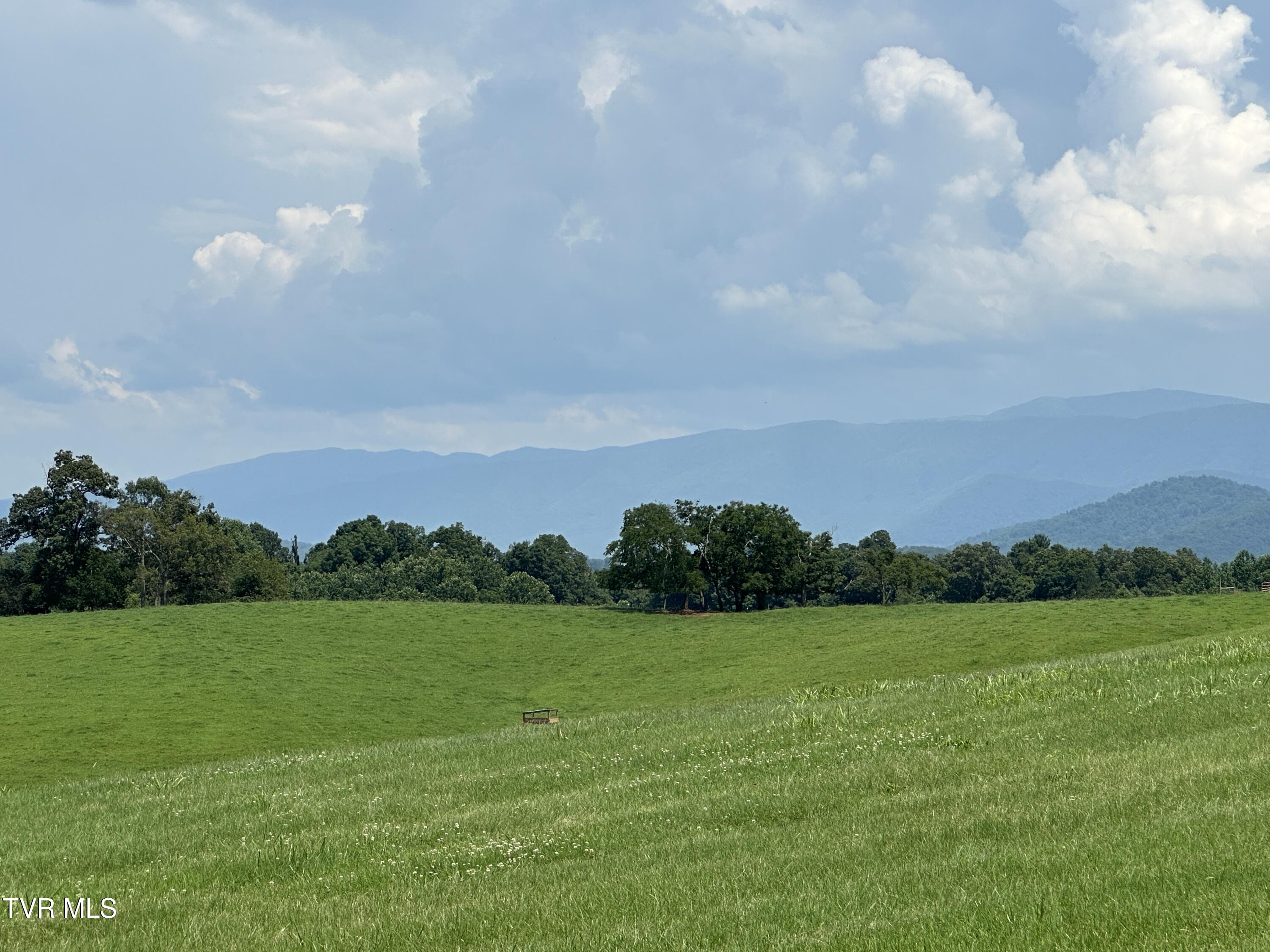 0 West Allens Bridge Road Greeneville, TN 37743 - Photo 1 of 16 IMG_7869 (1)