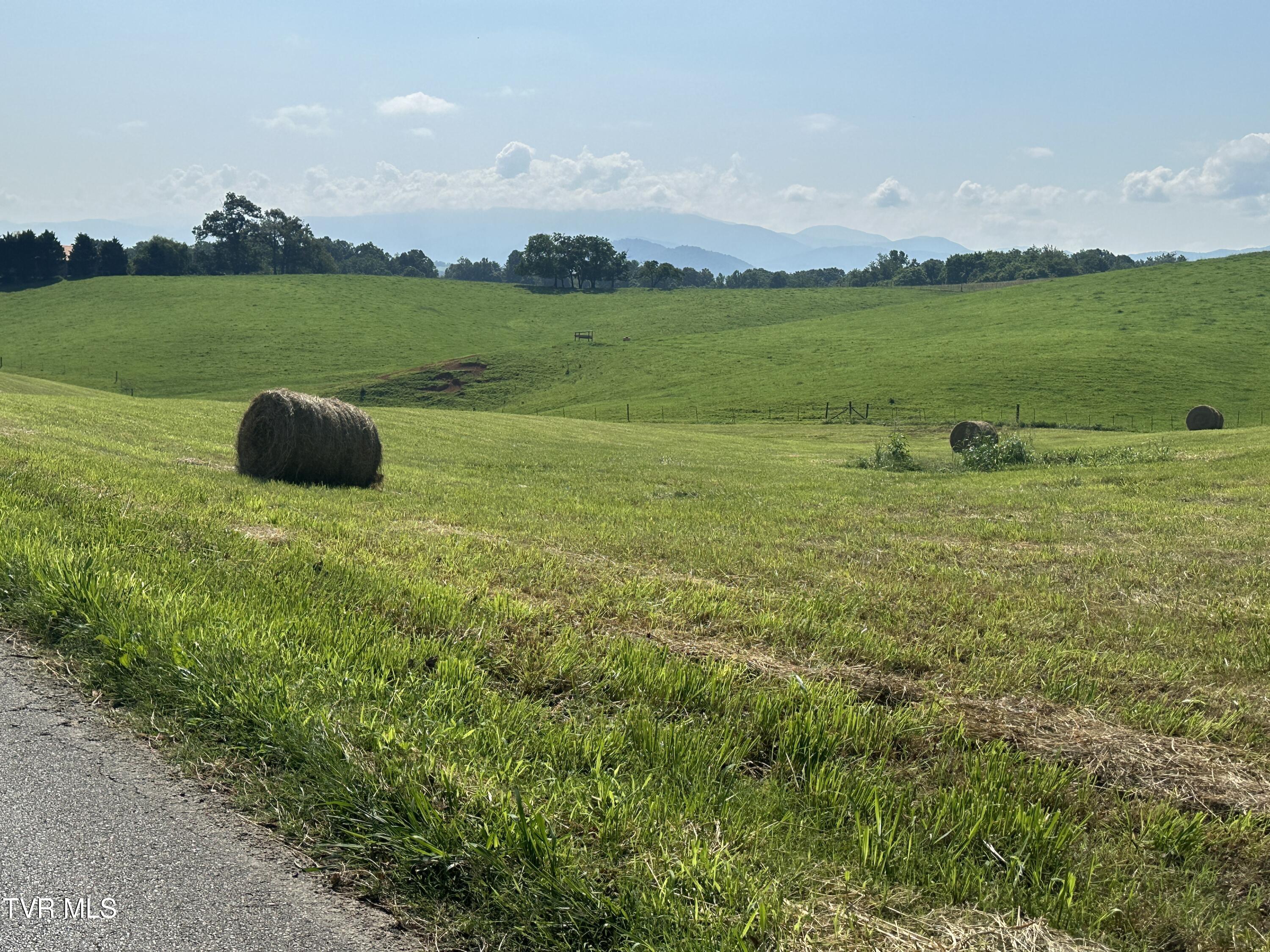 0 West Allens Bridge Road Greeneville, TN 37743 - Photo 7 of 16 IMG_7853 (1)