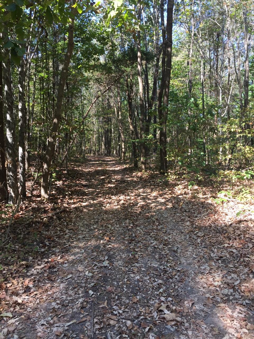 0 Russell Road Palmyra, TN 37142 - Photo 1 of 3 Path to the back of the property