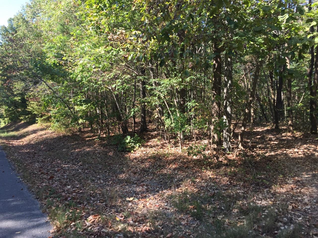 0 Russell Road Palmyra, TN 37142 - Photo 3 of 3 left side of the path
