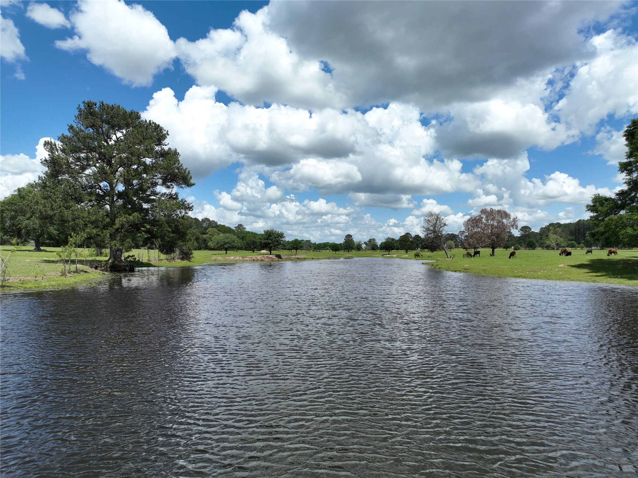 32023 Courtney Road Navasota, TX 77868 - Photo 14 of 37 a view of a lake