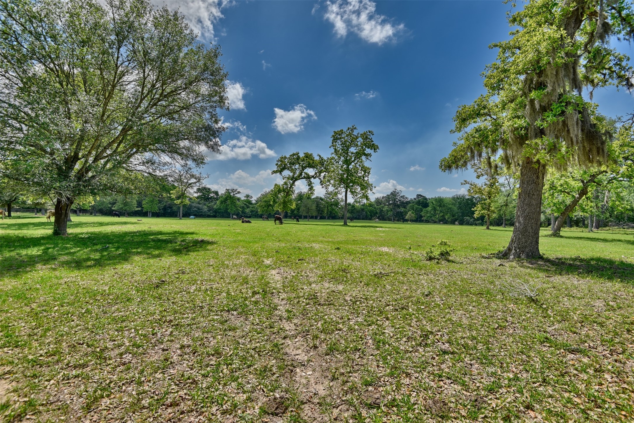 32023 Courtney Road Navasota, TX 77868 - Photo 16 of 37 a view of a garden with a building