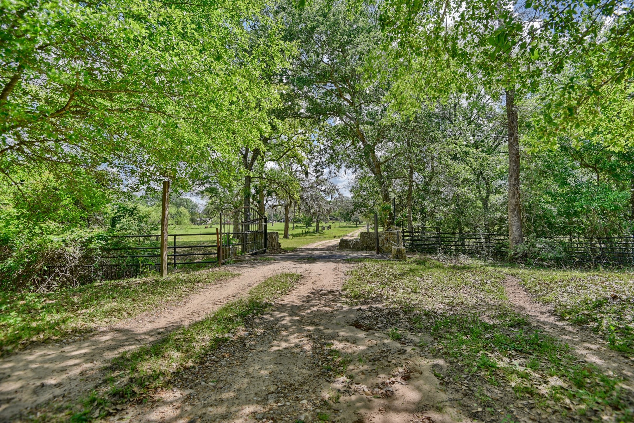 32023 Courtney Road Navasota, TX 77868 - Photo 18 of 37 a view of a forest with trees in the background