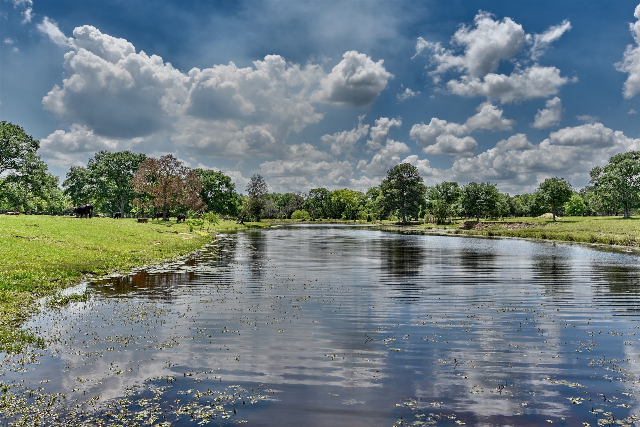 32023 Courtney Road Navasota, TX 77868 - Photo 19 of 37 a view of a lake with houses in the back