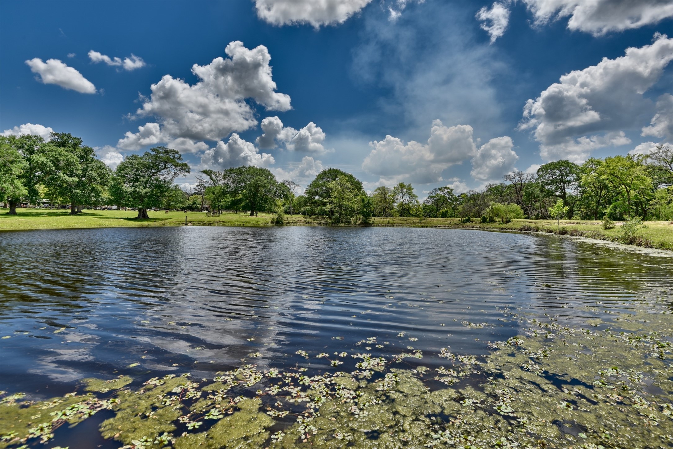 32023 Courtney Road Navasota, TX 77868 - Photo 20 of 37 a view of a lake view